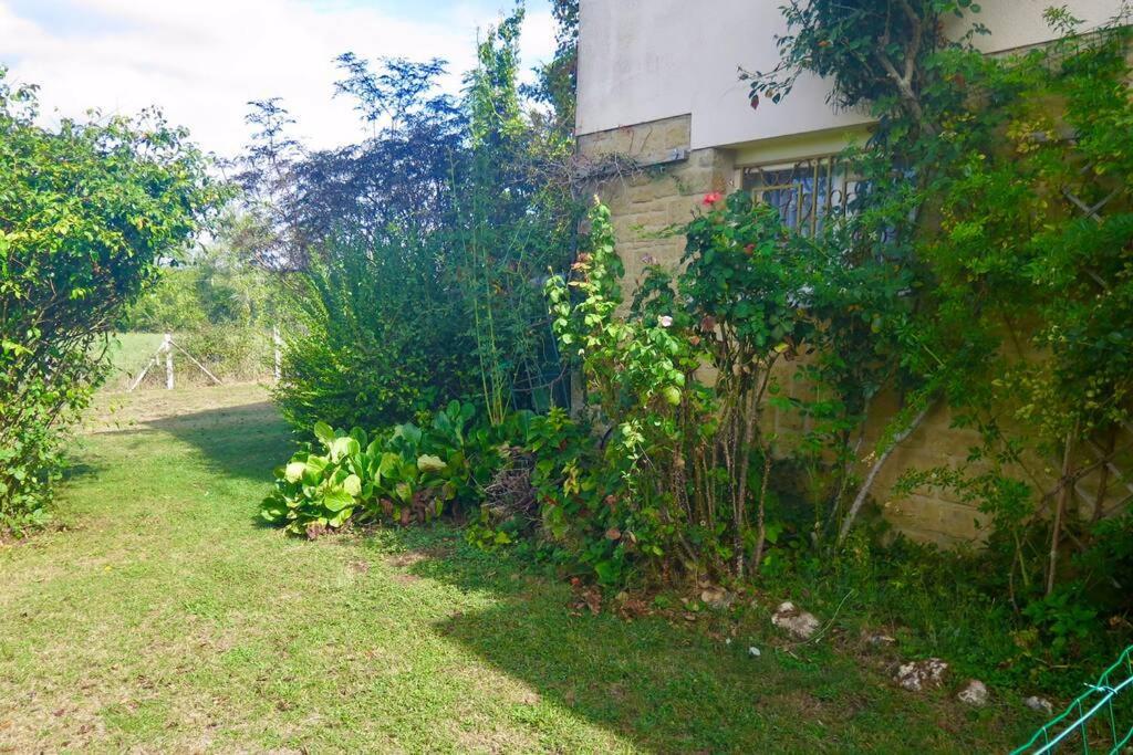 Les Petits Self Contained 2 Bedroom Apartment Molieres (Dordogne) Exterior foto